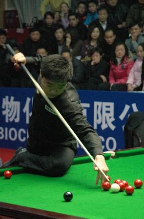 真诚道歉比 真诚道歉比