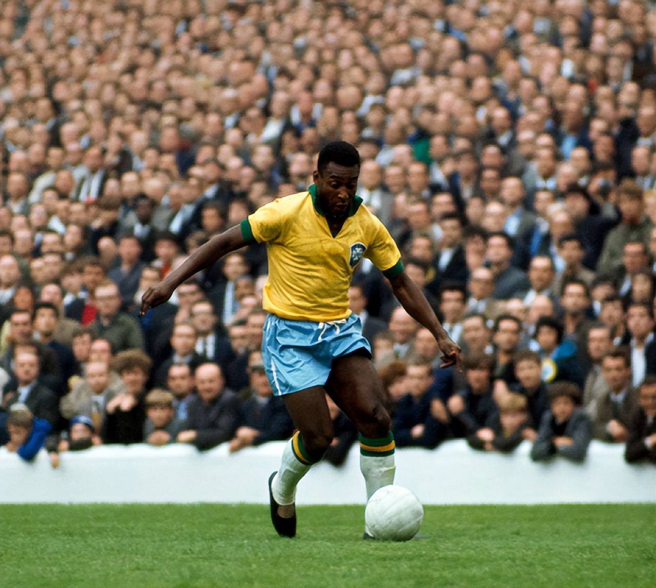 更是可持续 更是可持续