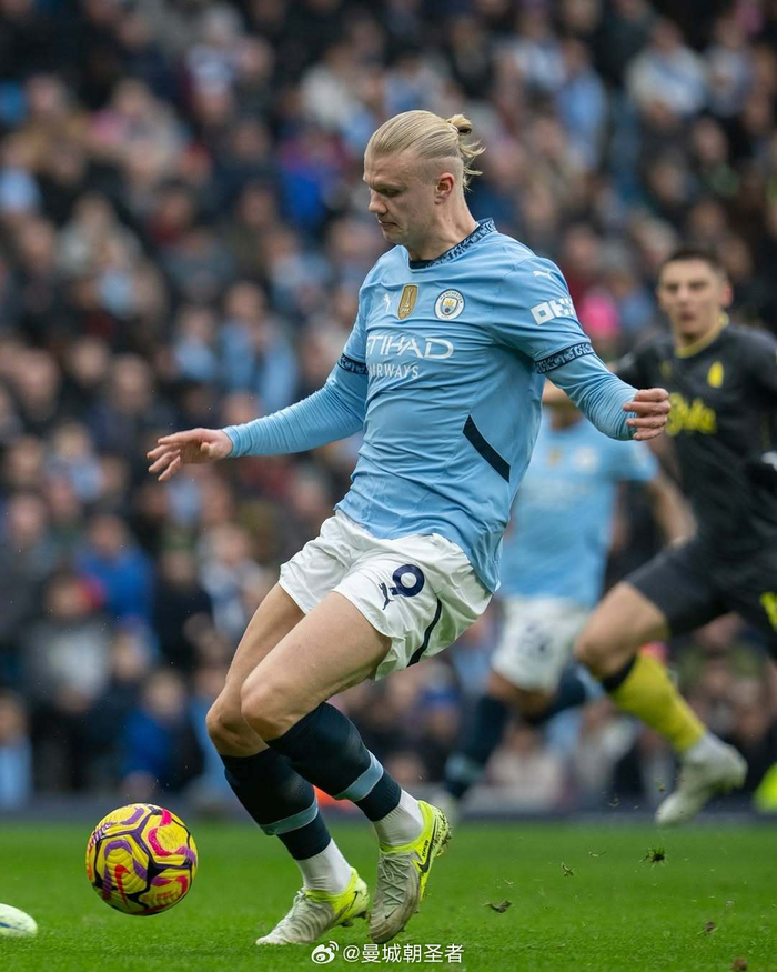 前中期野区 前中期野区